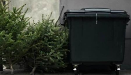 Αφήστε τα χριστουγεννιάτικα δέντρα δίπλα στους κάδους!