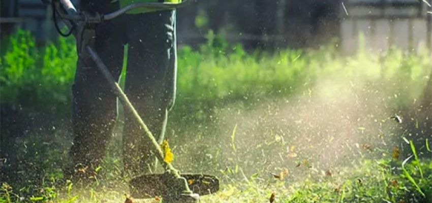 ΠΡΟΣΟΧΗ! Υποχρέωση καθαρισμού και υποβολής δήλωσης έως τις 15 Ιουνίου!